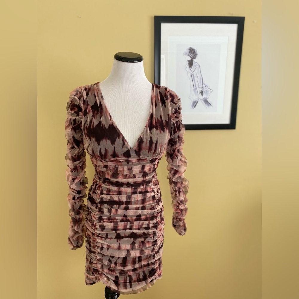 Zara Mesh Ruched Plugging Vneck mini dress